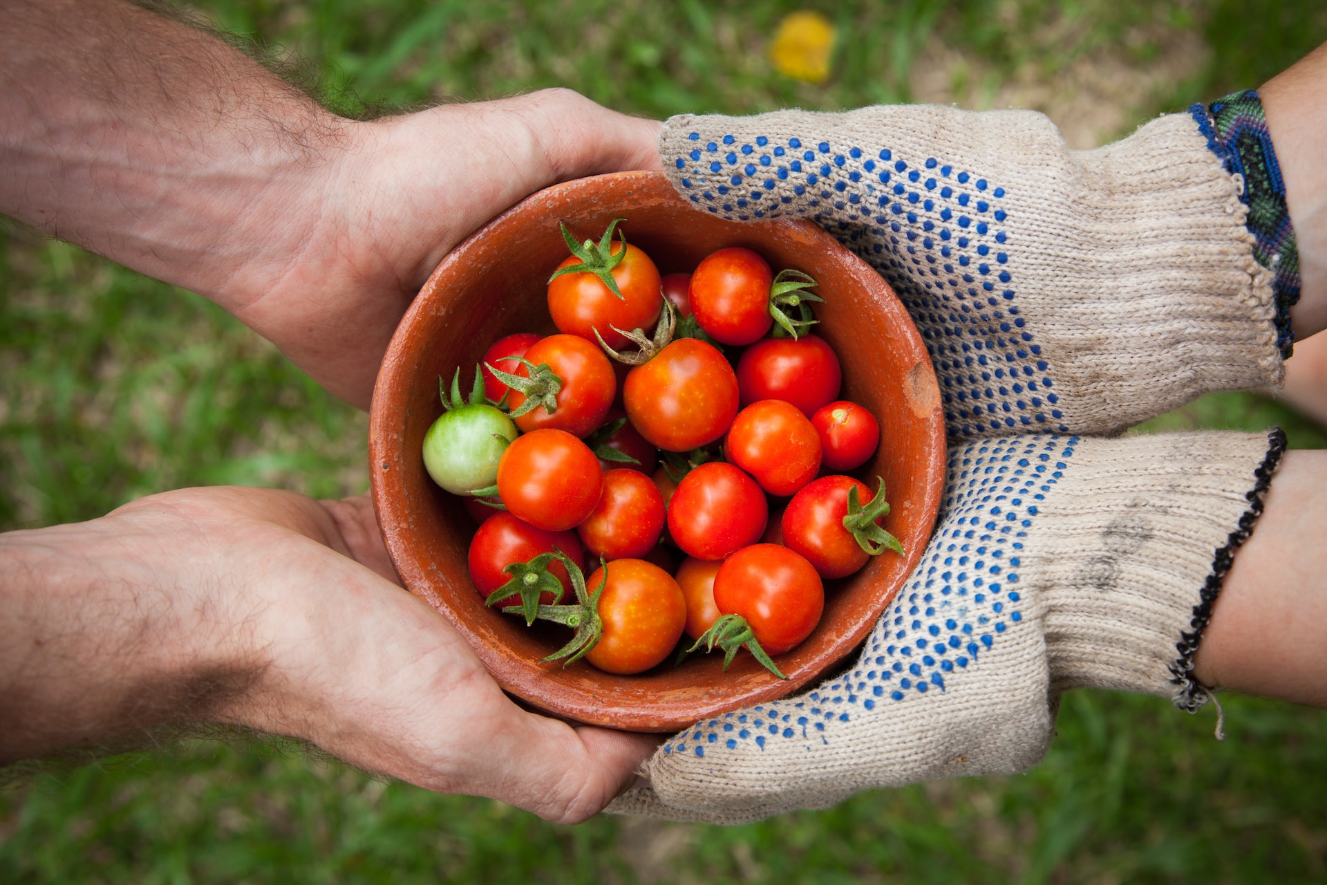 The Therapeutic Benefits of Gardening: Cultivating Well-being