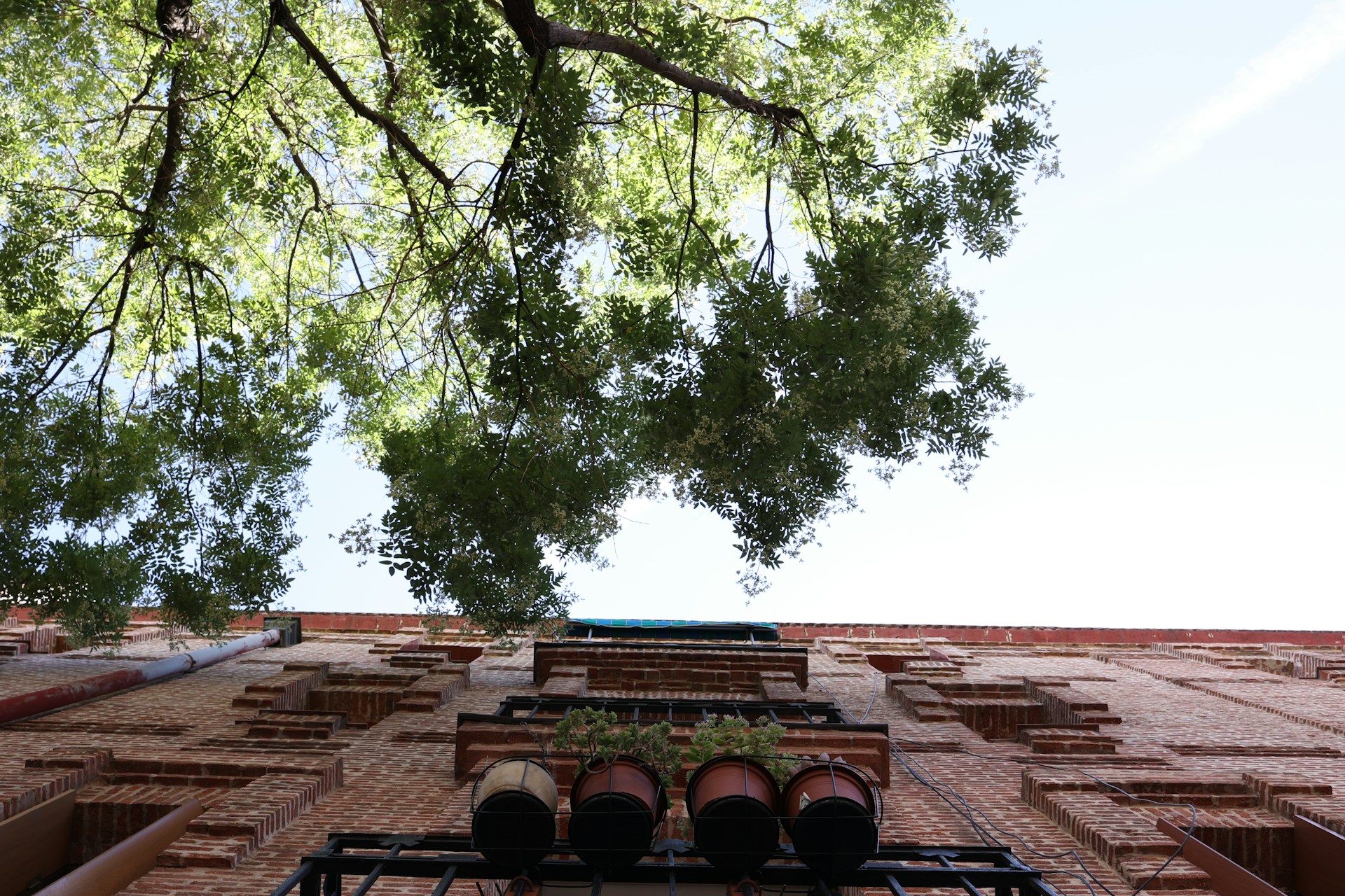 10 Simple Steps to Start Living Sustainably Today